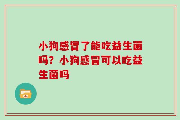 小狗感冒了能吃益生菌吗？小狗感冒可以吃益生菌吗