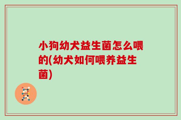小狗幼犬益生菌怎么喂的(幼犬如何喂养益生菌)