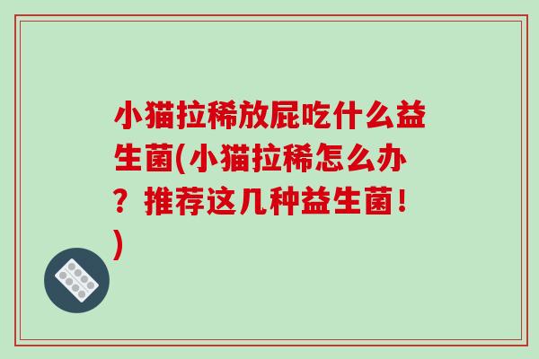 小猫拉稀放屁吃什么益生菌(小猫拉稀怎么办？推荐这几种益生菌！)