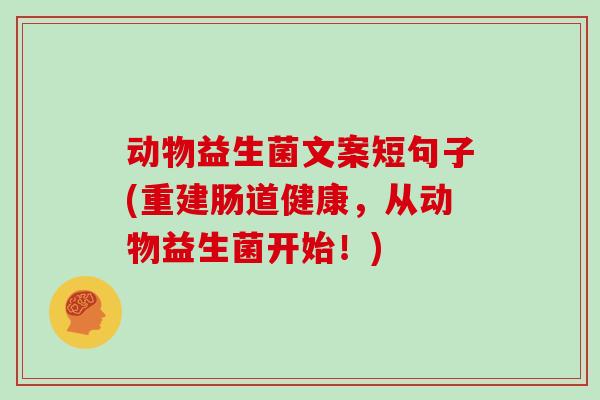 动物益生菌文案短句子(重建肠道健康，从动物益生菌开始！)