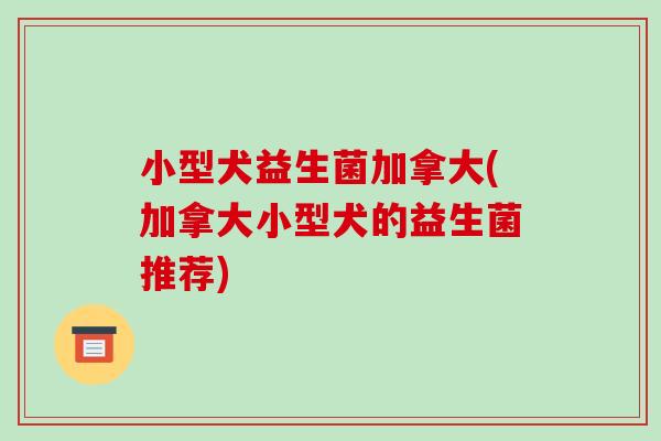 小型犬益生菌加拿大(加拿大小型犬的益生菌推荐)