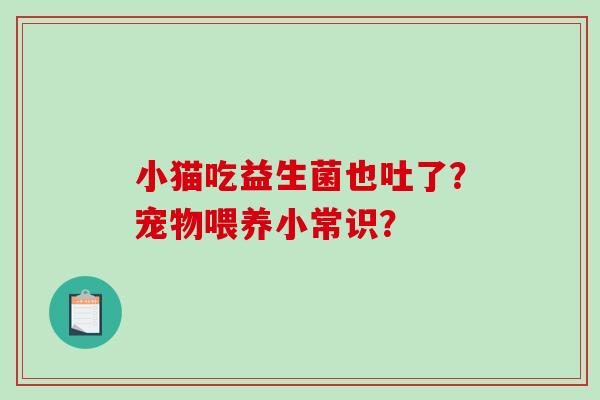 小猫吃益生菌也吐了？宠物喂养小常识？