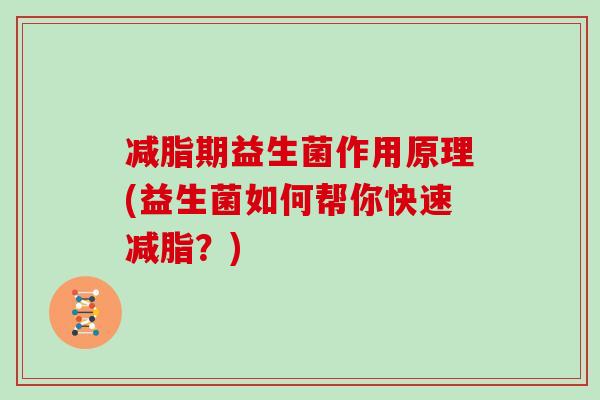 减脂期益生菌作用原理(益生菌如何帮你快速减脂？)