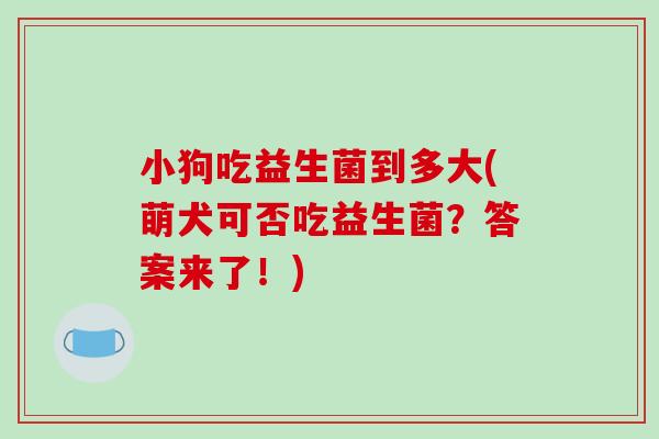 小狗吃益生菌到多大(萌犬可否吃益生菌？答案来了！)
