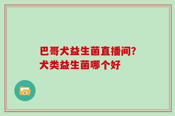 巴哥犬益生菌直播间？犬类益生菌哪个好