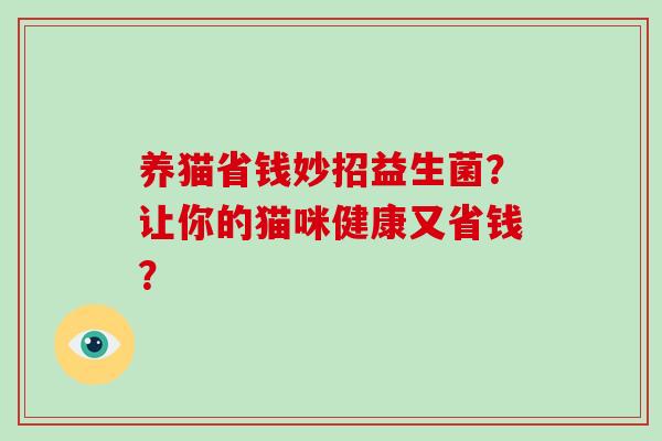 养猫省钱妙招益生菌？让你的猫咪健康又省钱？