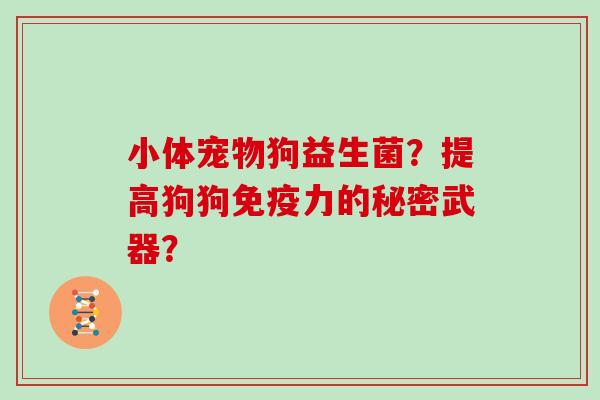 小体宠物狗益生菌？提高狗狗免疫力的秘密武器？