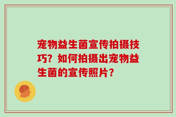 宠物益生菌宣传拍摄技巧？如何拍摄出宠物益生菌的宣传照片？