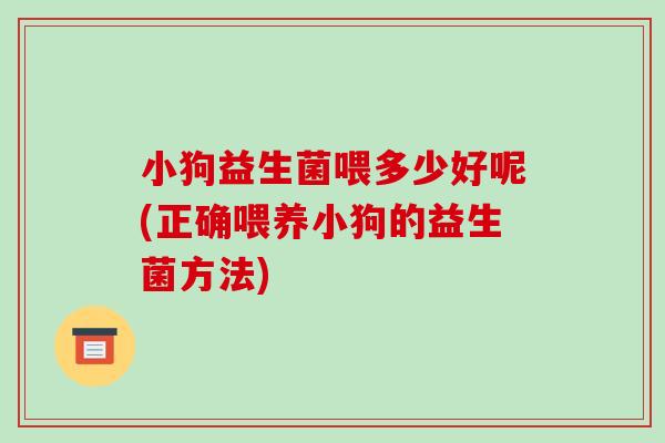 小狗益生菌喂多少好呢(正确喂养小狗的益生菌方法)