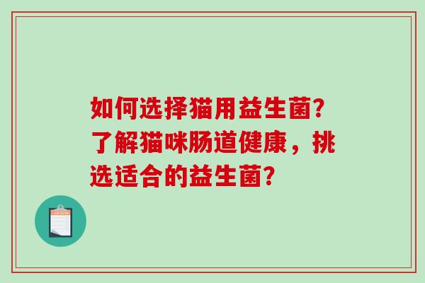 如何选择猫用益生菌?了解猫咪肠道健康,挑选适合的益生菌? 如何选择猫用益生菌?了解猫咪肠道健康,挑选适合的益生菌?