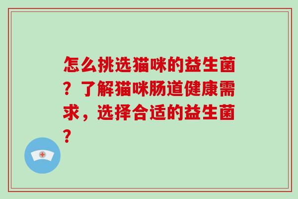 怎么挑选猫咪的益生菌？了解猫咪肠道健康需求，选择合适的益生菌？