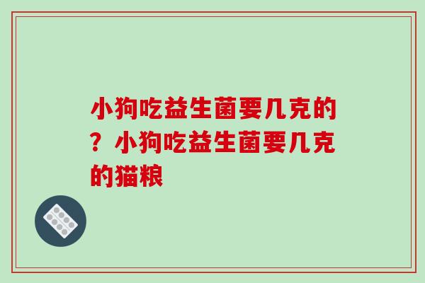 小狗吃益生菌要几克的？小狗吃益生菌要几克的猫粮