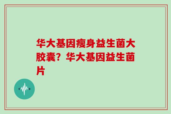 华大基因瘦身益生菌大胶囊?华大基因益生菌片 华大基因瘦身益生菌大胶囊?华大基因益生菌片