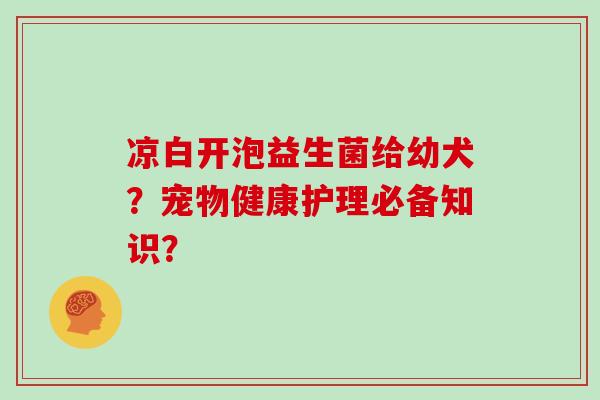 凉白开泡益生菌给幼犬？宠物健康护理必备知识？