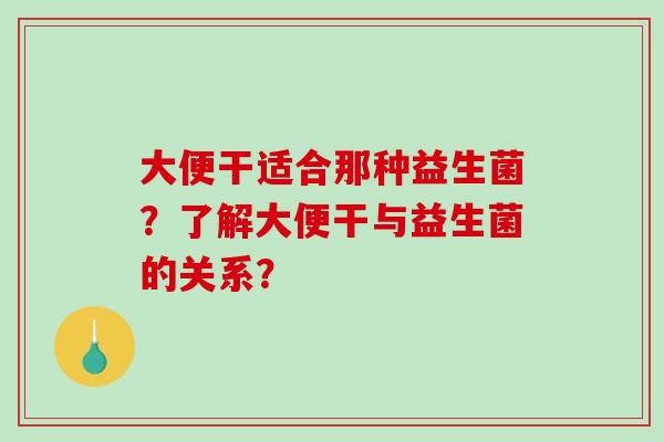 大便干适合那种益生菌？了解大便干与益生菌的关系？