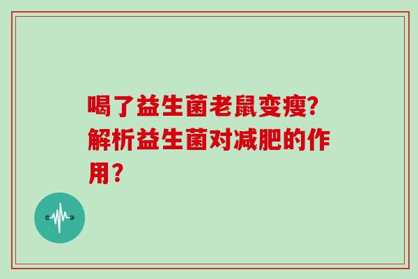 喝了益生菌老鼠变瘦？解析益生菌对减肥的作用？