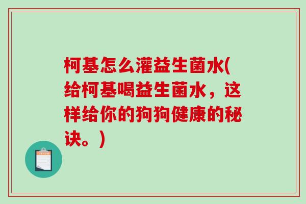 柯基怎么灌益生菌水(给柯基喝益生菌水，这样给你的狗狗健康的秘诀。)