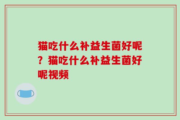 猫吃什么补益生菌好呢？猫吃什么补益生菌好呢视频