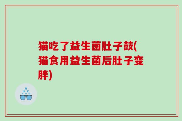 猫吃了益生菌肚子鼓(猫食用益生菌后肚子变胖)