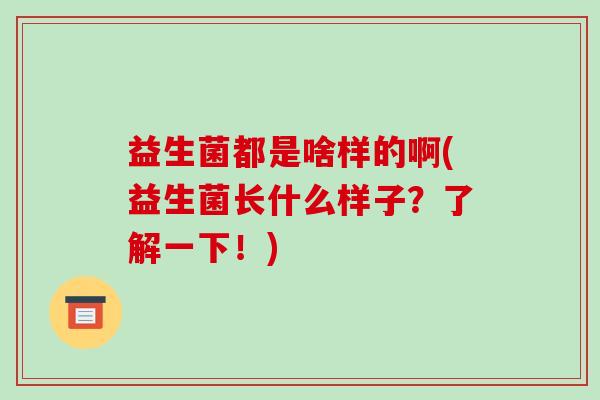 益生菌都是啥样的啊(益生菌长什么样子？了解一下！)