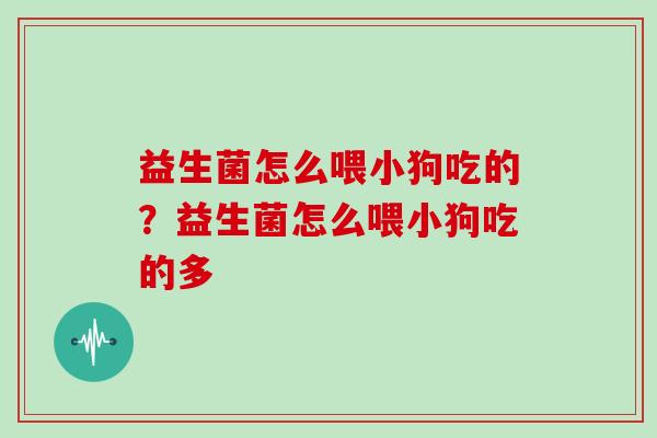 益生菌怎么喂小狗吃的?益生菌怎么喂小狗吃的多 益生菌怎么喂小狗吃的?益生菌怎么喂小狗吃的多