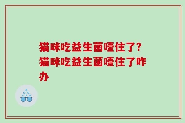 猫咪吃益生菌噎住了？猫咪吃益生菌噎住了咋办
