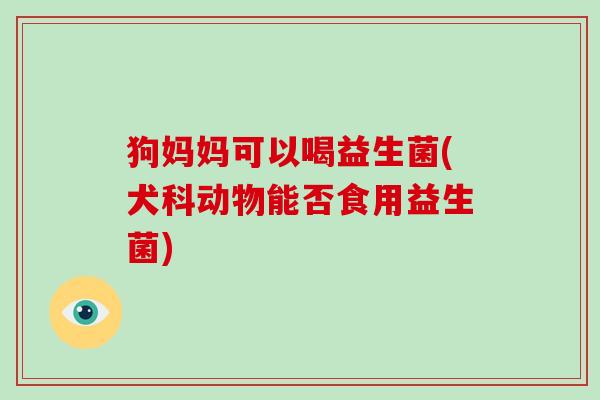 狗妈妈可以喝益生菌(犬科动物能否食用益生菌)