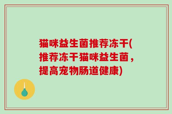 猫咪益生菌推荐冻干(推荐冻干猫咪益生菌，提高宠物肠道健康)