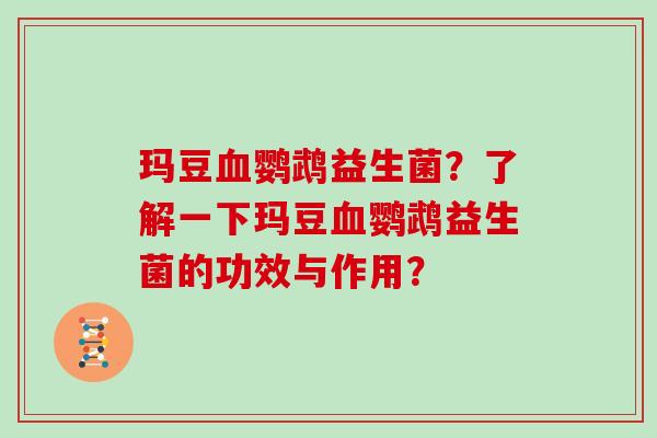 玛豆血鹦鹉益生菌？了解一下玛豆血鹦鹉益生菌的功效与作用？