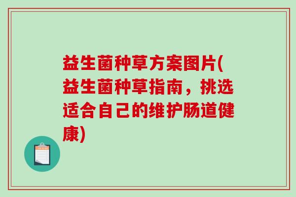 益生菌种草方案图片(益生菌种草指南，挑选适合自己的维护肠道健康)