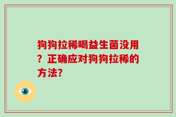 狗狗拉稀喝益生菌没用？正确应对狗狗拉稀的方法？