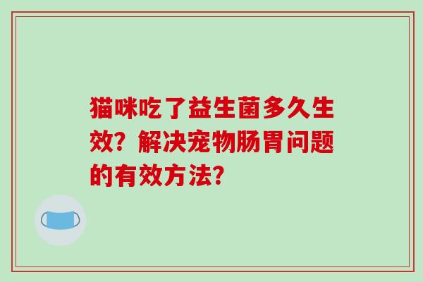 猫咪吃了益生菌多久生效？解决宠物肠胃问题的有效方法？