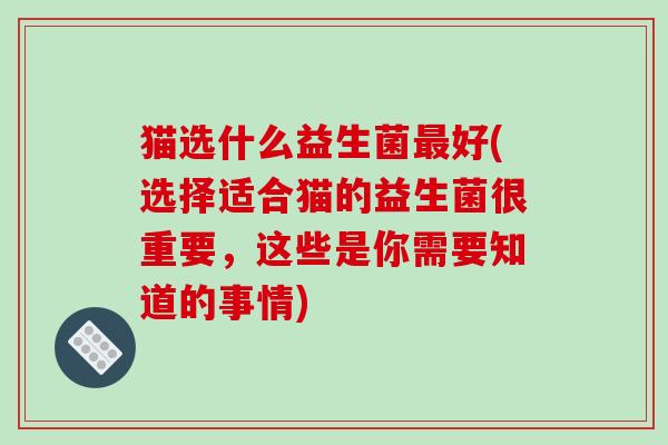 猫选什么益生菌好(选择适合猫的益生菌很重要,这些是你需要知道的事情) 猫选什么益生菌好(选择适合猫的益生菌很重要,这些是你需要知道的事情)