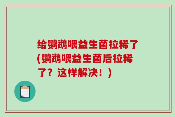 给鹦鹉喂益生菌拉稀了(鹦鹉喂益生菌后拉稀了？这样解决！)