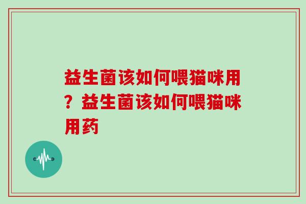 益生菌该如何喂猫咪用？益生菌该如何喂猫咪用药