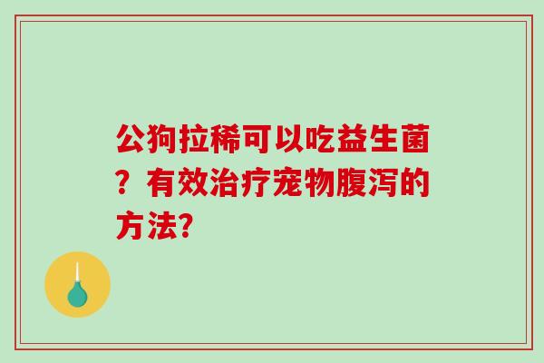 公狗拉稀可以吃益生菌？有效治疗宠物腹泻的方法？