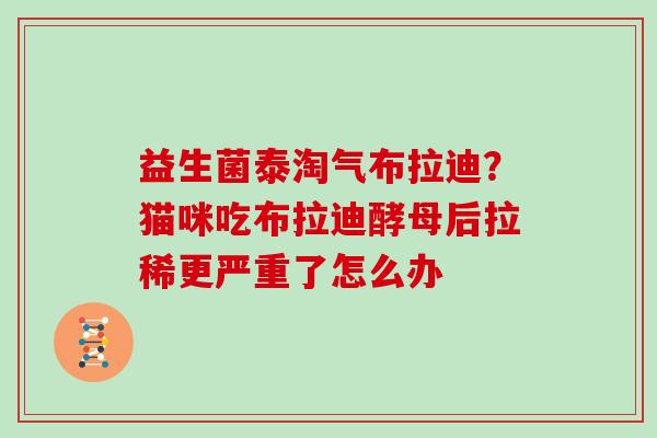 益生菌泰淘气布拉迪？猫咪吃布拉迪酵母后拉稀更严重了怎么办