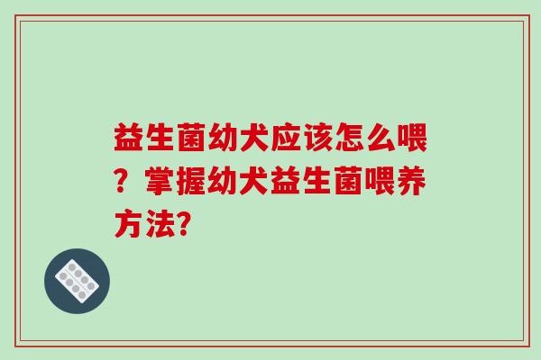 益生菌幼犬应该怎么喂？掌握幼犬益生菌喂养方法？