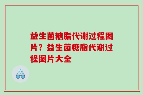益生菌糖脂代谢过程图片？益生菌糖脂代谢过程图片大全