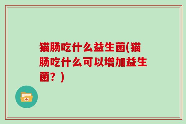 猫肠吃什么益生菌(猫肠吃什么可以增加益生菌？)