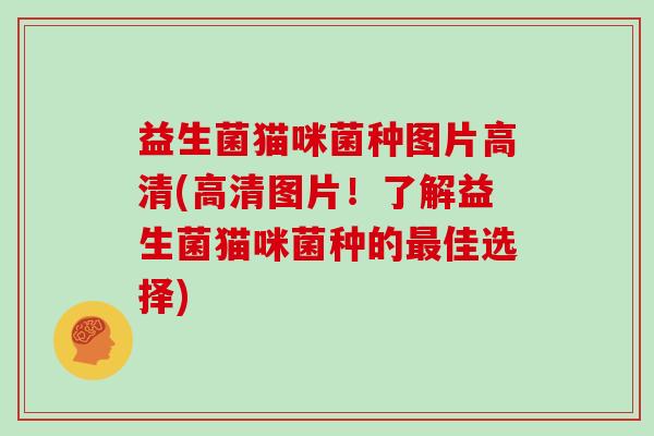 益生菌猫咪菌种图片高清(高清图片！了解益生菌猫咪菌种的最佳选择)