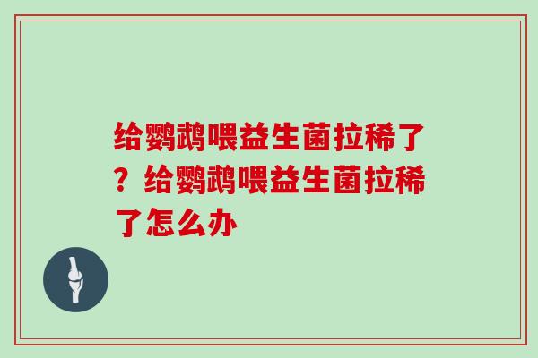 给鹦鹉喂益生菌拉稀了？给鹦鹉喂益生菌拉稀了怎么办