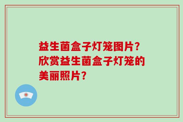 益生菌盒子灯笼图片？欣赏益生菌盒子灯笼的美丽照片？