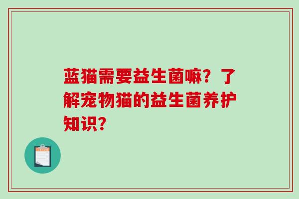 蓝猫需要益生菌嘛？了解宠物猫的益生菌养护知识？