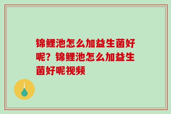锦鲤池怎么加益生菌好呢？锦鲤池怎么加益生菌好呢视频