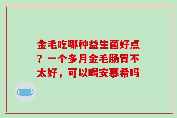金毛吃哪种益生菌好点？一个多月金毛肠胃不太好，可以喝安慕希吗