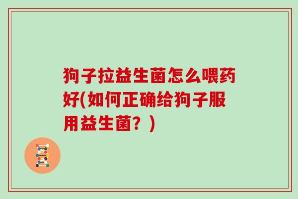 狗子拉益生菌怎么喂药好(如何正确给狗子服用益生菌？)