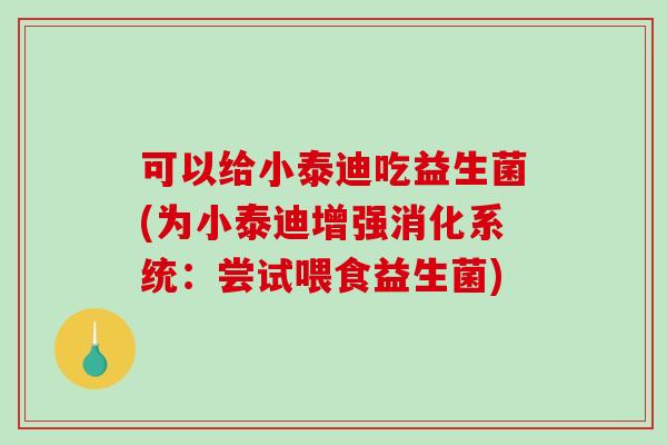 可以给小泰迪吃益生菌(为小泰迪增强消化系统：尝试喂食益生菌)