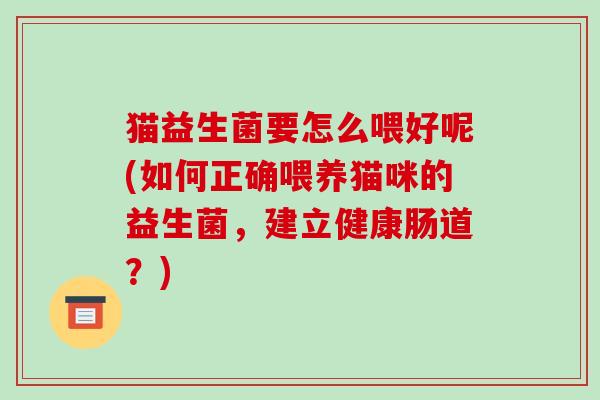 猫益生菌要怎么喂好呢(如何正确喂养猫咪的益生菌，建立健康肠道？)