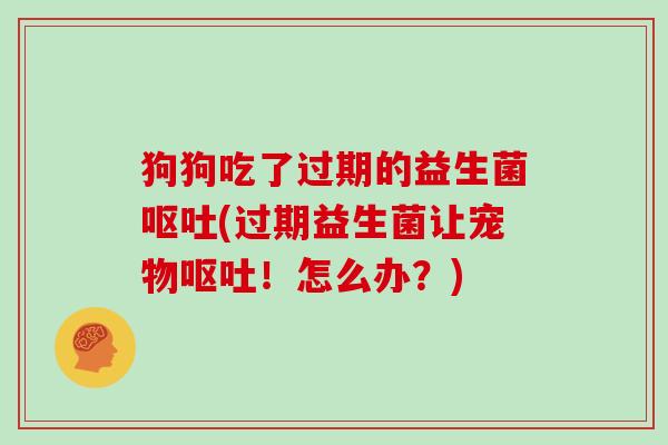 狗狗吃了过期的益生菌呕吐(过期益生菌让宠物呕吐！怎么办？)